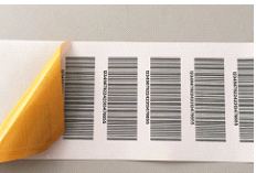 SSNSB系列（涂布）